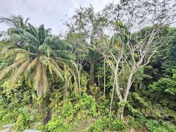 Greenbank Park (D21), Semi-Detached #525147101